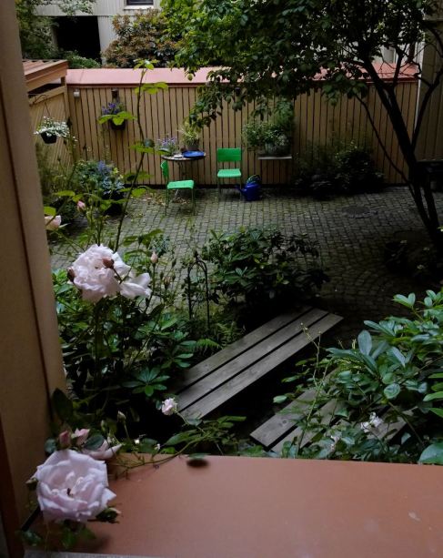 Por la ventana de la cocina. Foto R.Puig