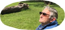 Mirando al sol en Slottsskogen.