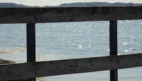 Muelle de Småholmen. Onsala. Foto R.Puig