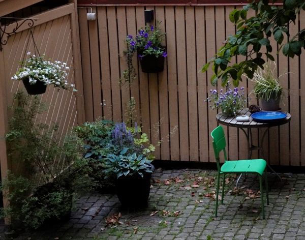 Nuestro patio vecinal. Foto R.Puig