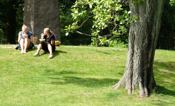 Slottskogen.Foto R.Puig