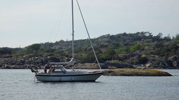 Småholmen. Onsala. Foto R.Puig