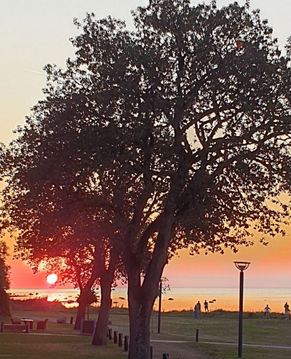 Båstad. Atardece. Foto R.Puig