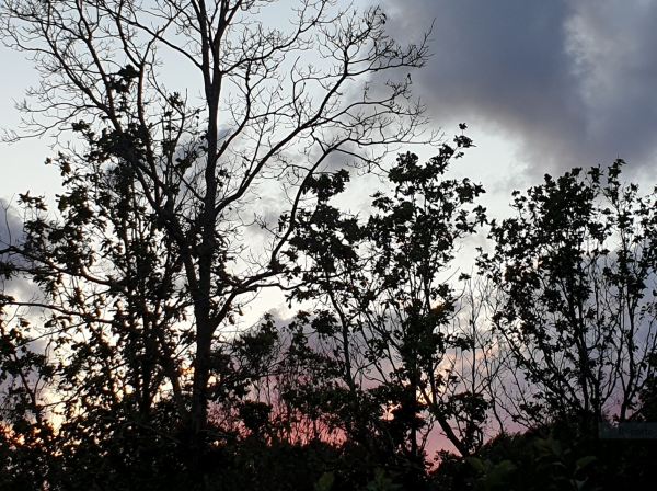 La tarde se alarga en noche. Foto R.Puig