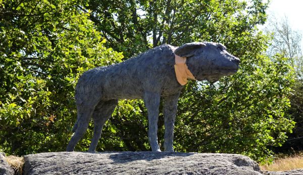 Laura Ford,UK. Hiena con collarín. Bronce patinado. 2015.  Foto R.Puig