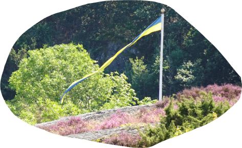 Pilane. 2019. Foto R.Puig