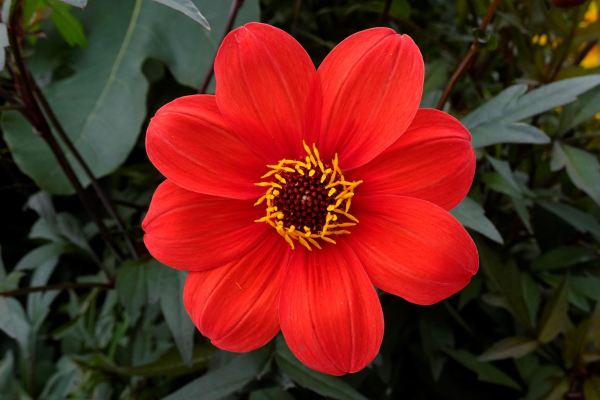 Lá où tu es. Foto R.Puig