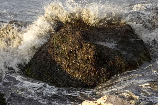 Cabelleras. Foto R.Puig