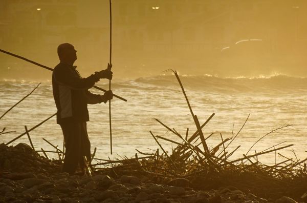 Esta puede servir. Foto R.Puig