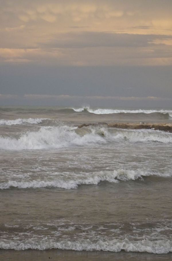 En orden de batalla. Foto R.Puig