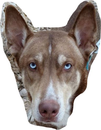 Y usted qué me cuenta. Foto R.Puig