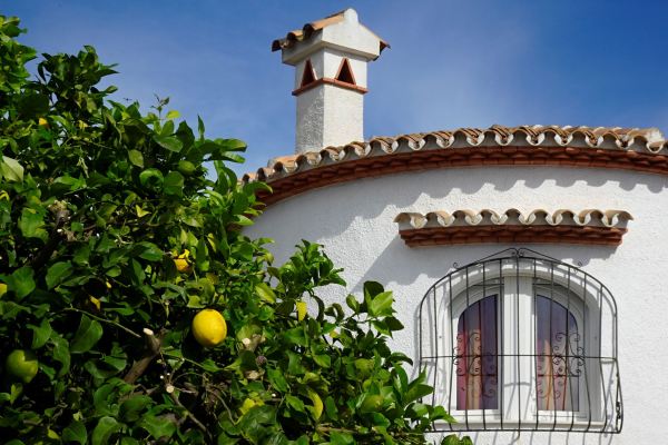 Al gusto levantino. Els Poblets. Foto R.Puig