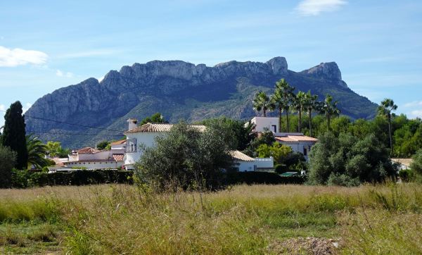 El Segaria omnipresente. Els Poblets. Foto R.Puig
