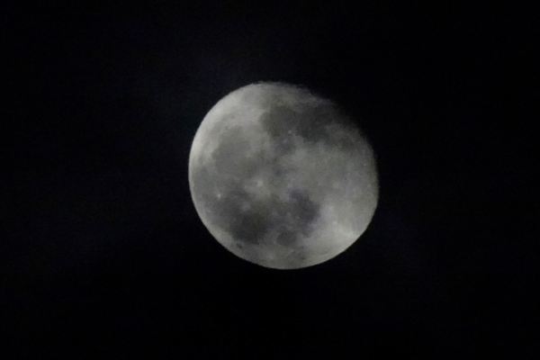 Luna de noviembre 3. Foto R.Puig