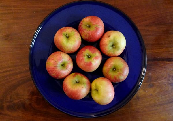 Manzanas en un círculo azul. Foto R.Puig