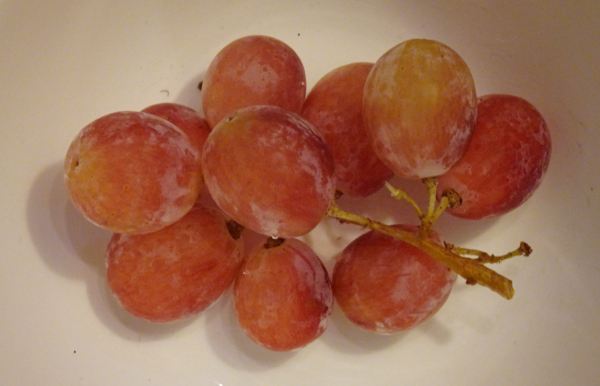 Plénitude. Foto R.Puig