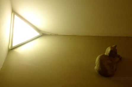 Javier Rodríguez Lozano, Instalación "Arañazos y palimseptos", 2019 Foto R.Puig