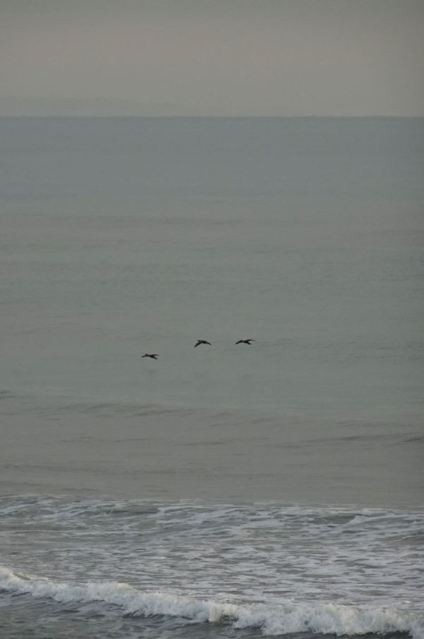 26 de marzo del 2020 07 30 a.m. Foto R.Puig