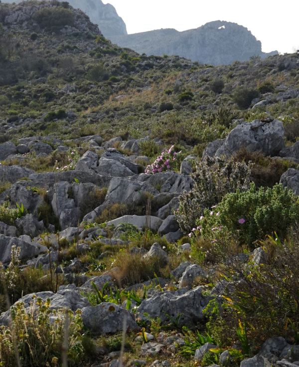 Caminando sobre lapiaz alveolar. Foto R.Puig