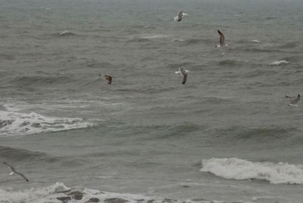 Martes 24 de marzo del 2020 a las 07 y 15 a.m. Foto R.Puig