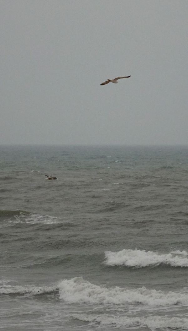 Martes 24 de marzo del 2020 a las 07:20 a.m. Foto R.Puig