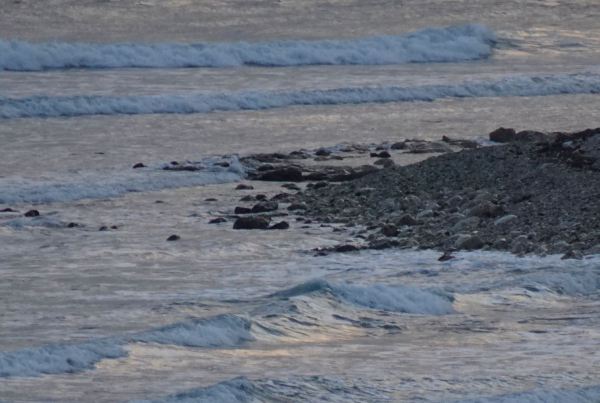 Viernes 28 de marzo del 2020 7 20 a.m. Foto R.Puig