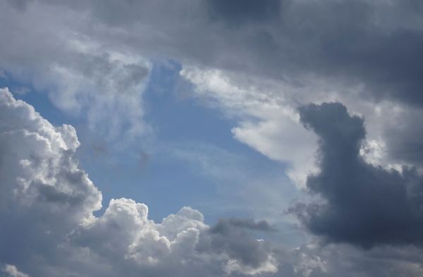 Apertura. Foto R.Puig