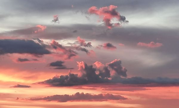 Memoranda. Foto R.Puig