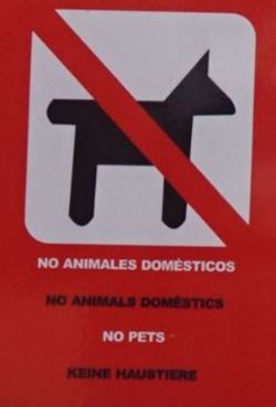 Animales domésticos