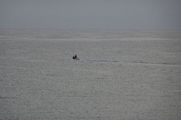 En medio del verano. Foto R.Puig